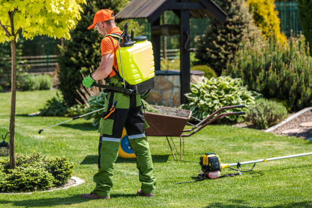 Best Outdoor Pest Control  in Stevensville, MI